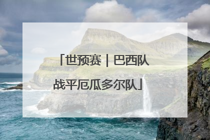 世预赛｜巴西队战平厄瓜多尔队